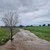 Uno de los arroyos en la zona donde se le perdió la pista al ciclista de Añora