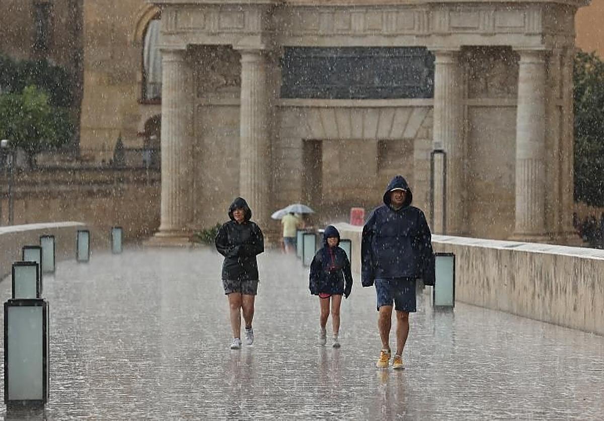 Uan familia bajo la lluvia en una imagen de archivo