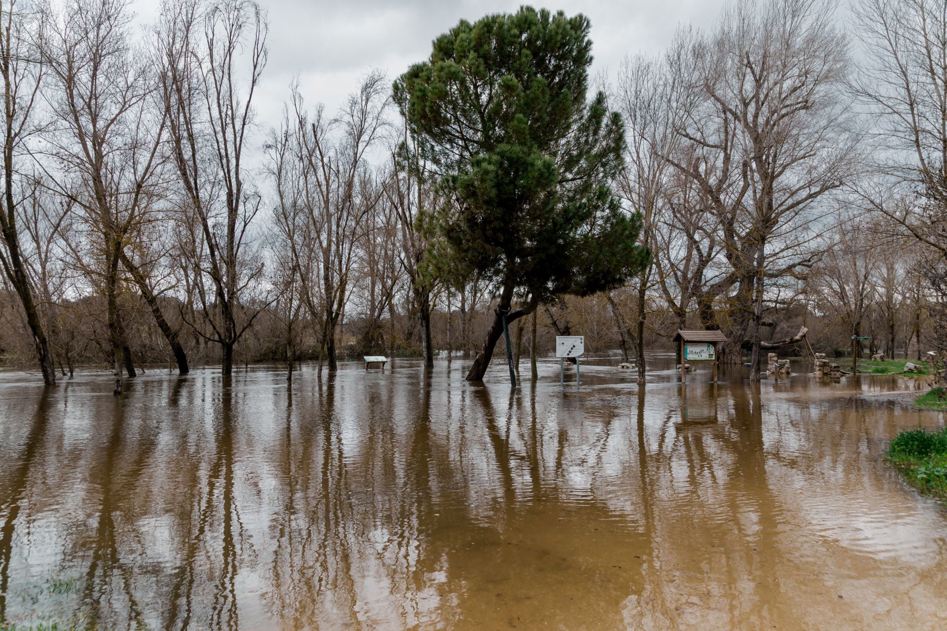 La crecida del río Manzanares en El Parking de Somontes, a la altura del Arroyo Trofa y de El Pardo