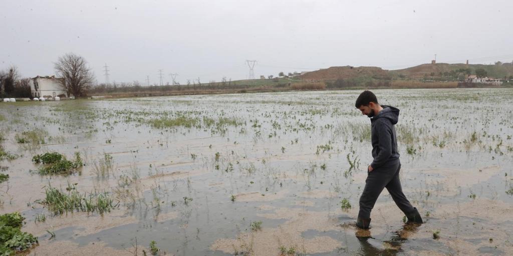 La crecida de los ríos arruina a los agricultores: «Ha arrasado con todo»