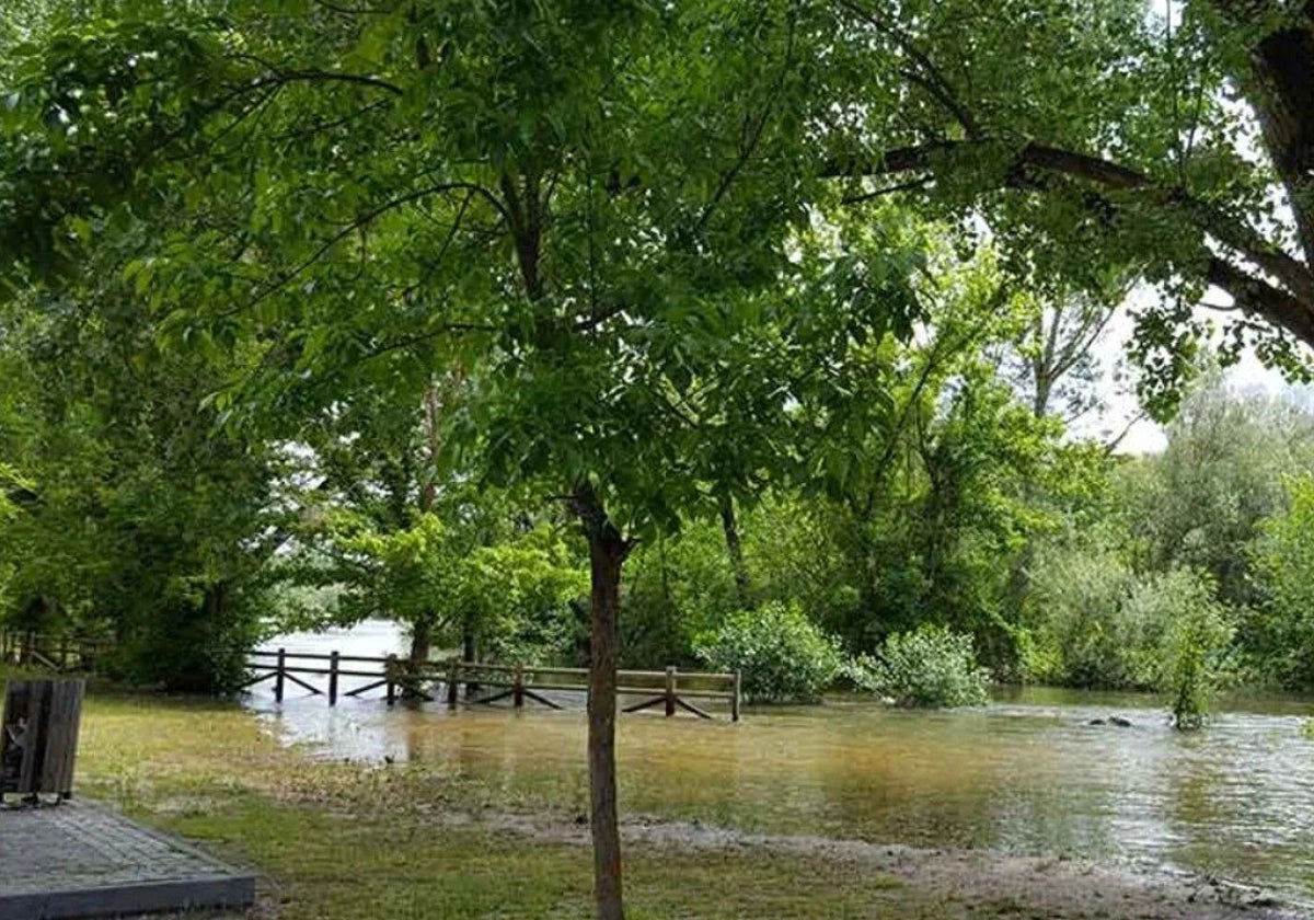 Crecida del río Alberche a su paso por el municipio de Escalona (Toledo)