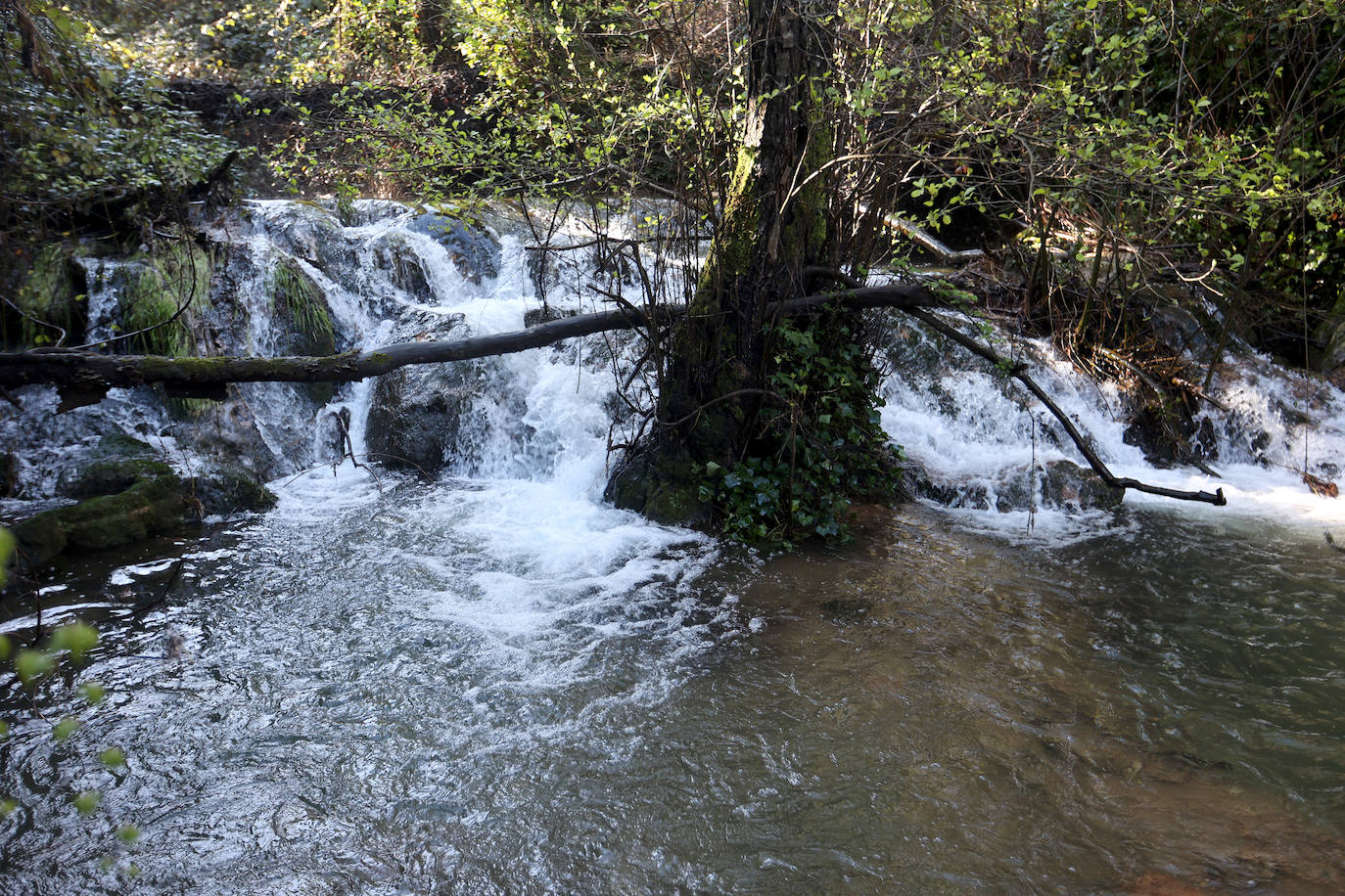 El inusual estado de los Baños de Popea tras las lluvias, en imágenes