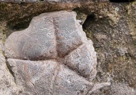Esta es la estrella de piedra que te concede un deseo en Córdoba