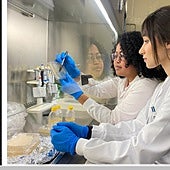 Investigadores de la Universidad de Zaragoza descubren un nuevo antibiótico (Sanfetrinem) contra la tuberculosis resistente