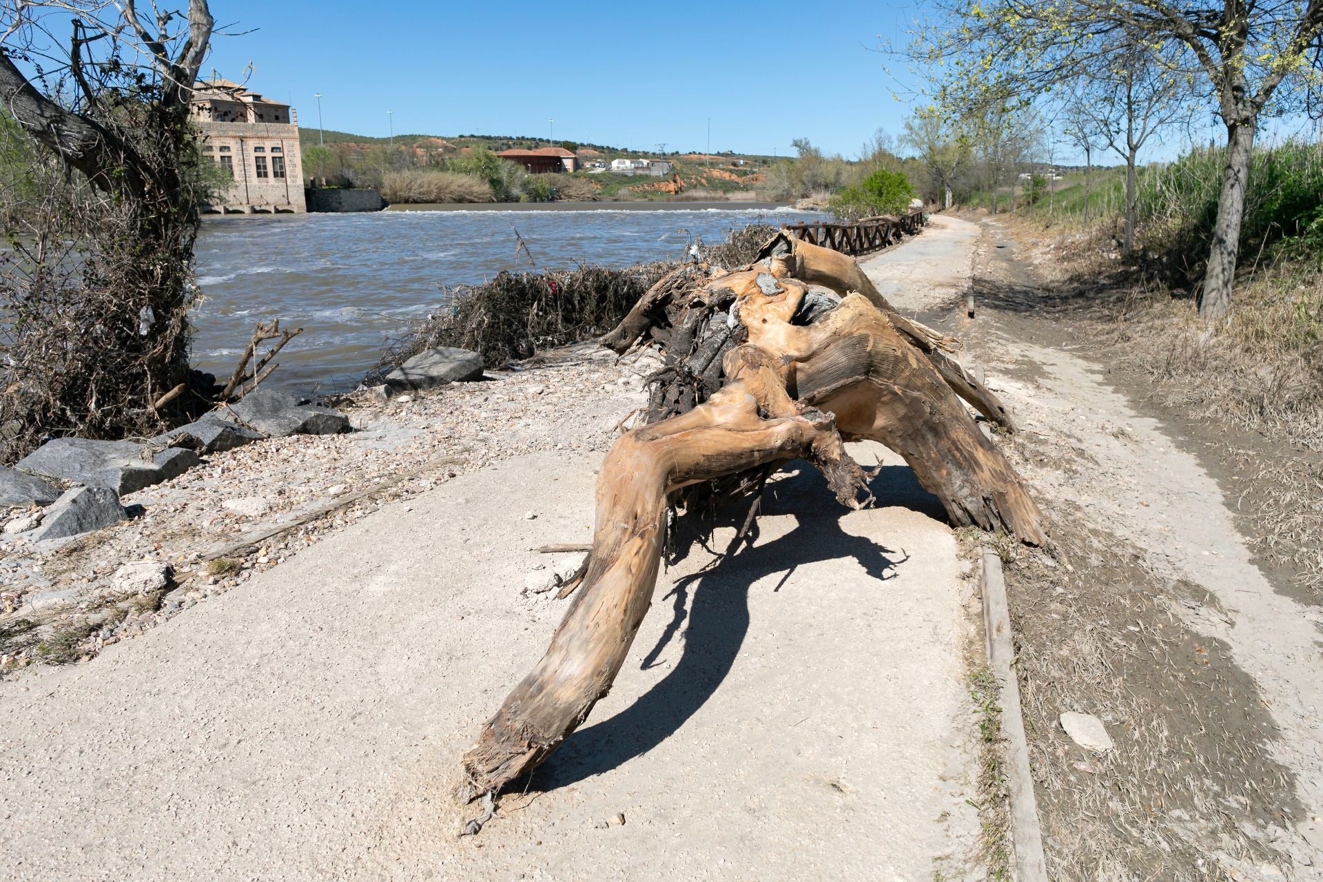 Las imágenes de la destrucción de la senda ecológica de Toledo