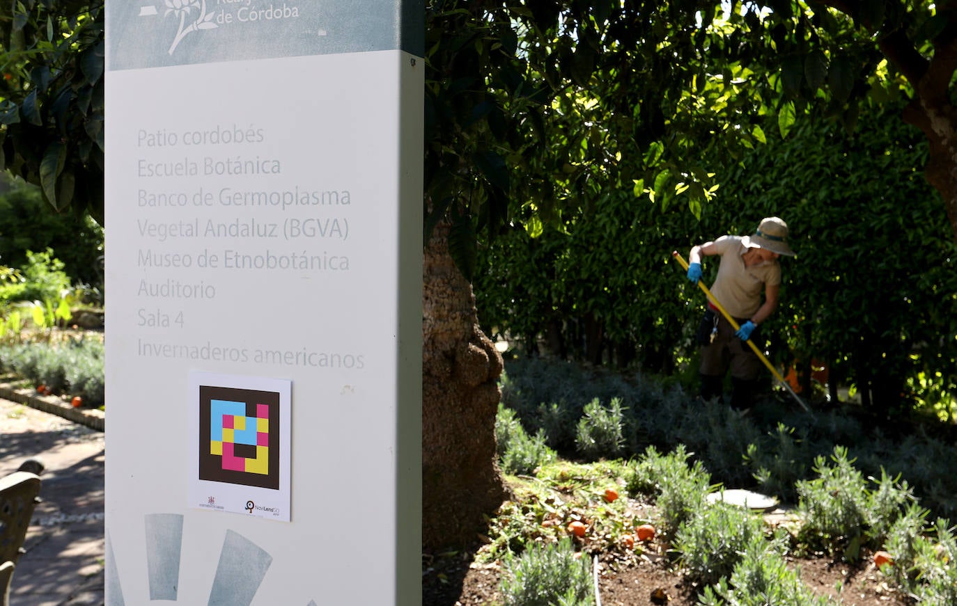 La semana de actividades de la ONCE sobre su gran labor social en Córdoba, en imágenes