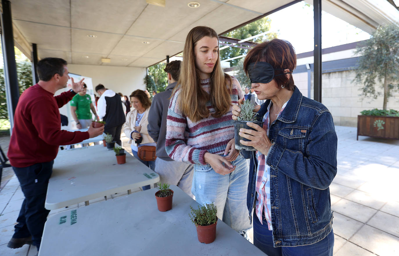 La semana de actividades de la ONCE sobre su gran labor social en Córdoba, en imágenes