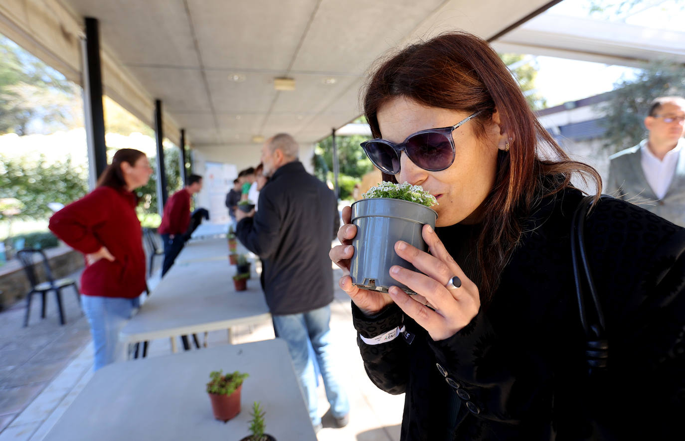 La semana de actividades de la ONCE sobre su gran labor social en Córdoba, en imágenes