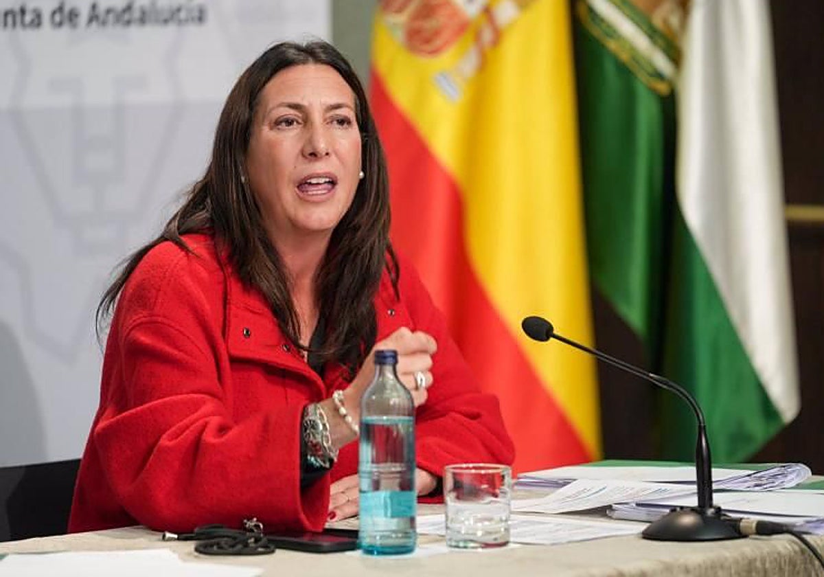 La consejera de Igualdad de la Junta de Andalucía, Loles López, en una intervención reciente