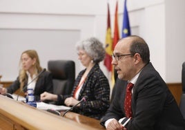 Bellido: «Todos deberíamos inyectarnos la vacuna del respeto para evitar empeorar el sistema democrático»