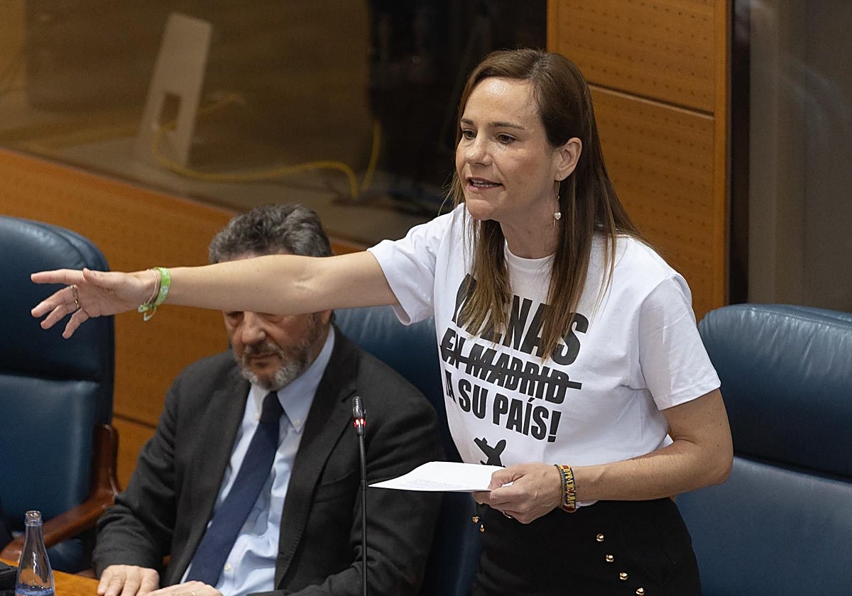 La portavoz de Vox en la Asamblea de Madrid, Isabel Pérez Moñino