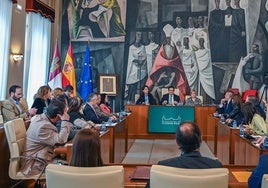 La Diputación de Ciudad Real destina un 1.600.000 euros para apoyar a los ayuntamientos en áreas de economía y cultura