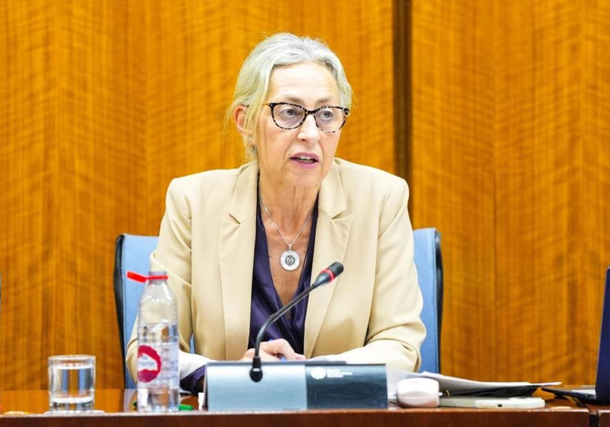 La consejera Rocío Hernández, este miércoles en el Parlamento de Andalucía