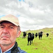 «El lobo me ha matado uno de cada cinco terneros»