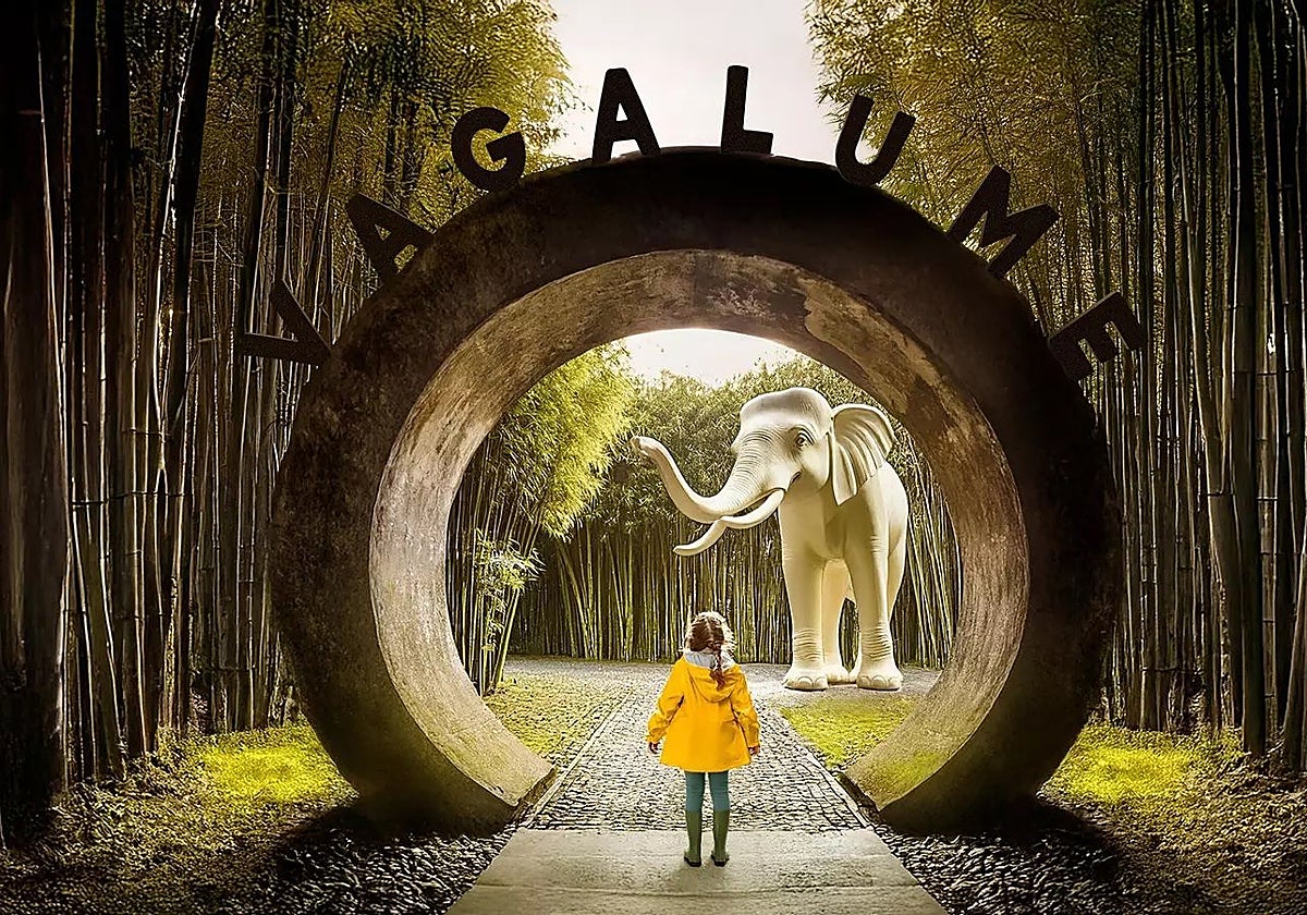 Imagen conceptual del proyecto Vagalume