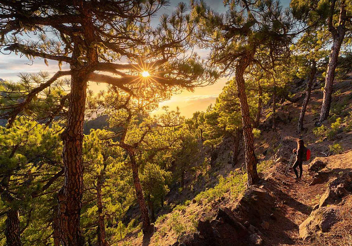 ParqueNacional de la Caldera de Taburiente