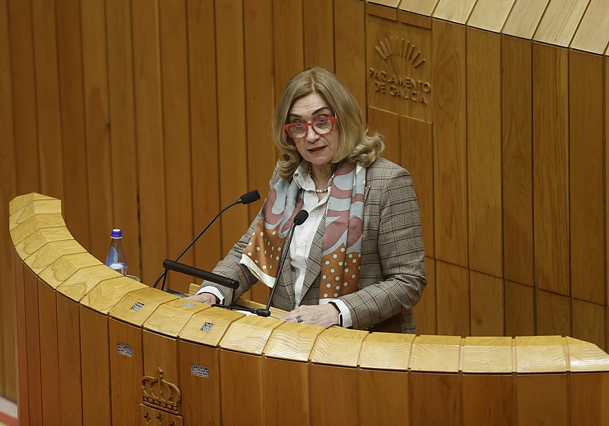 La diputada popular María Encarnación Amigo, en la Cámara