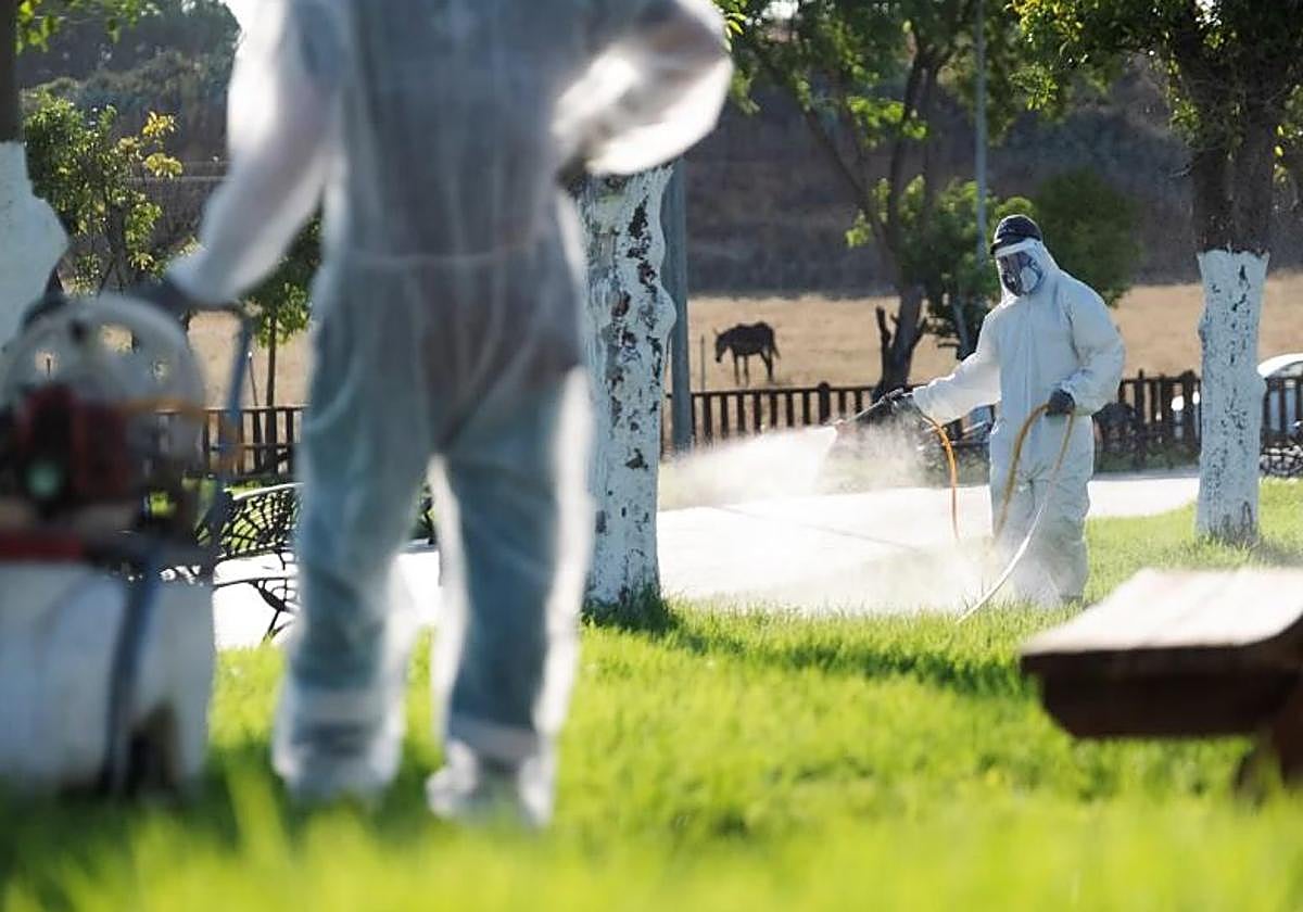 Operarios aplicando biocidas en Andalucía
