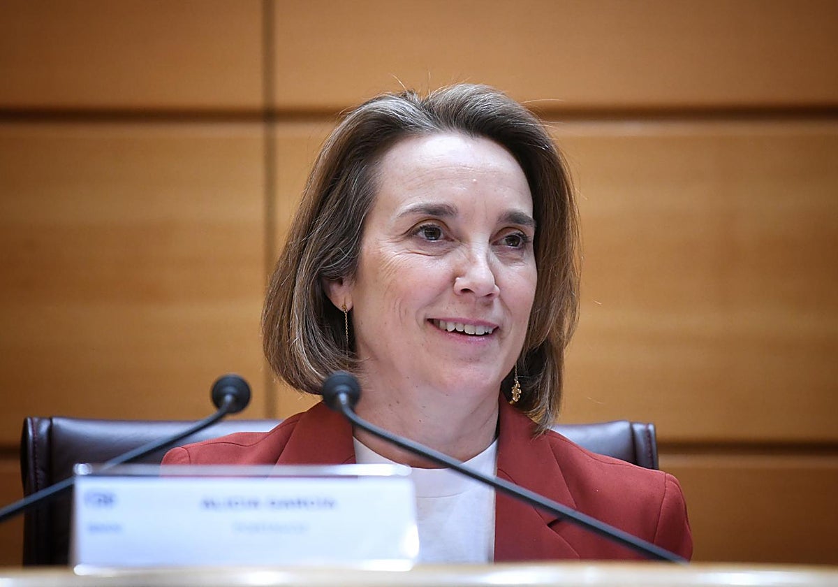 Cuca Gamarra, el pasado martes en el Senado