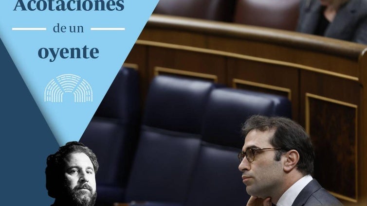 Cómo tejer una tela de araña