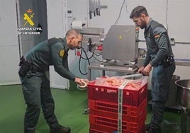 Intervienen más de dos mil kilos de carne no apta para el consumo en una empresa de Huelva