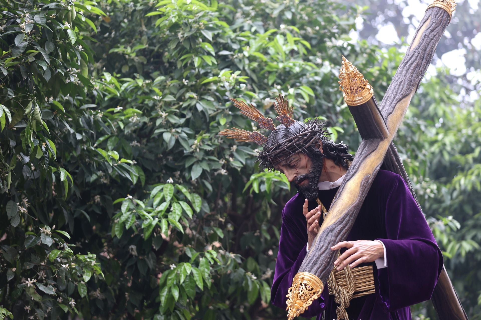 El solemne vía crucis del Soberano Poder por las calles de Córdoba, en imágenes