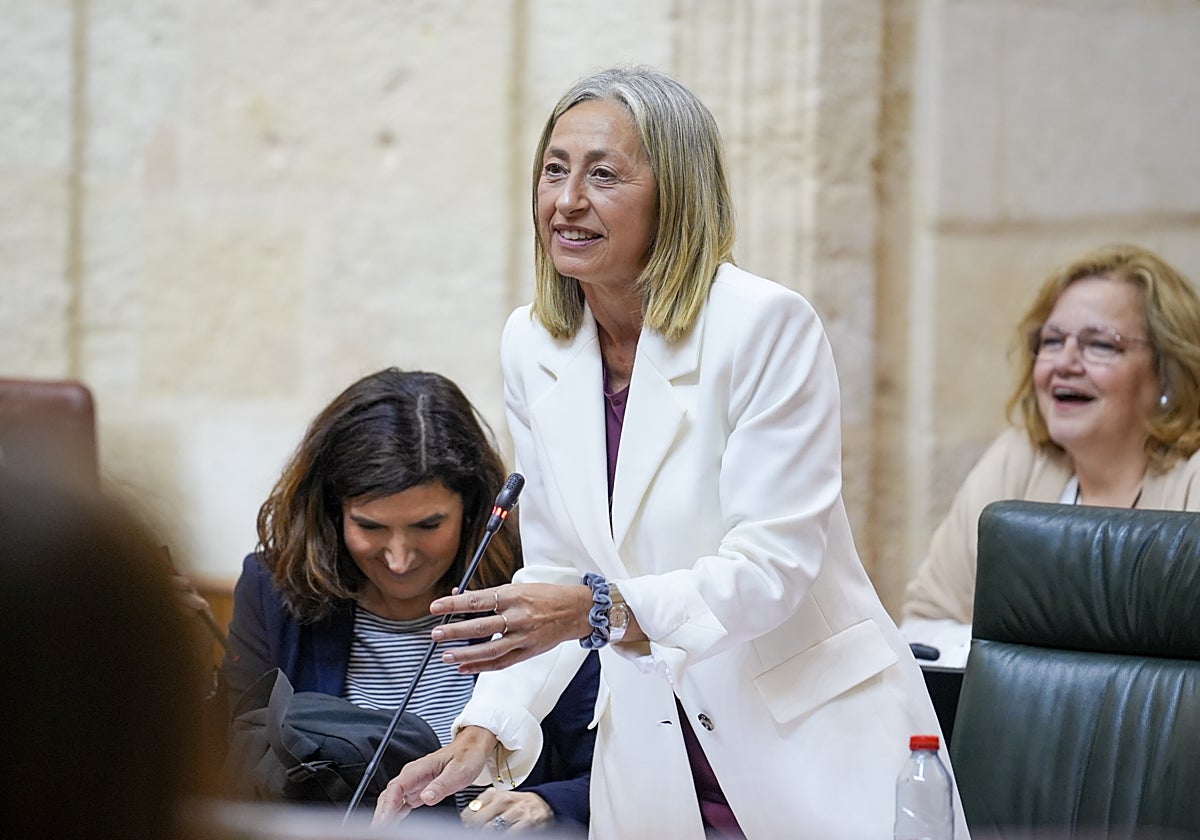La consejera de Salud, en el Parlamento andaluz