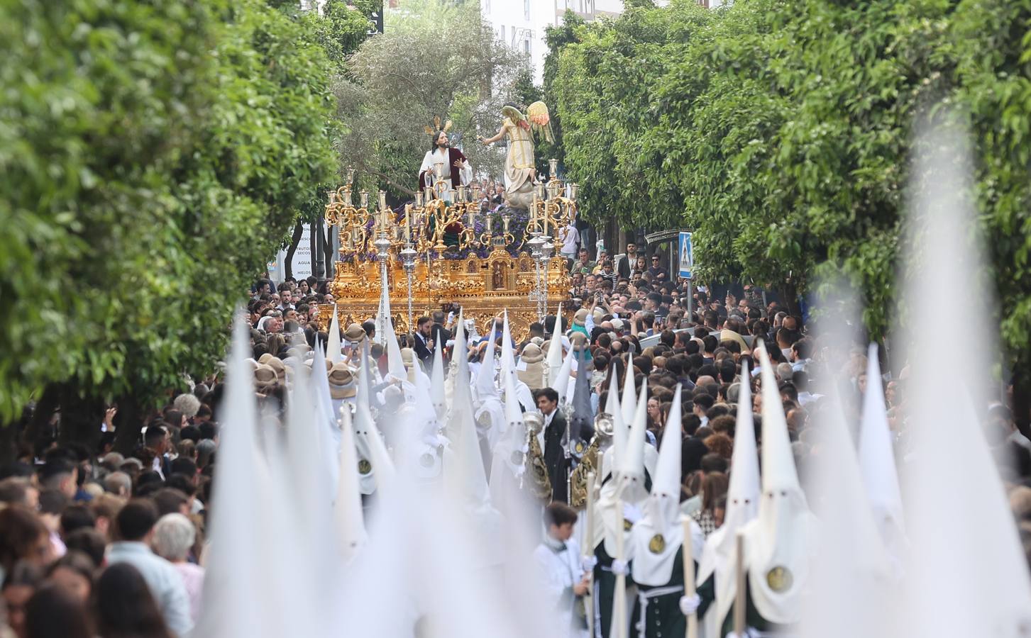 La pletórica procesión del Huerto de Córdoba, en imágenes