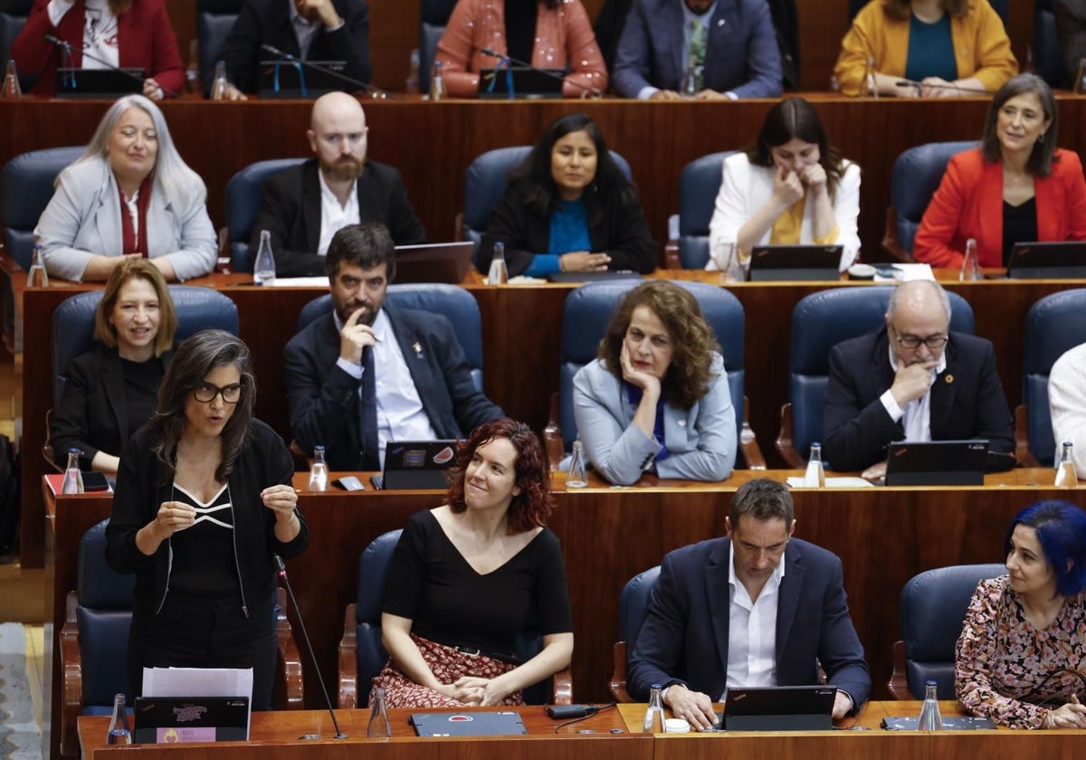Manuela Bergerot, con el resto del grupo parlamentario de Más Madrid