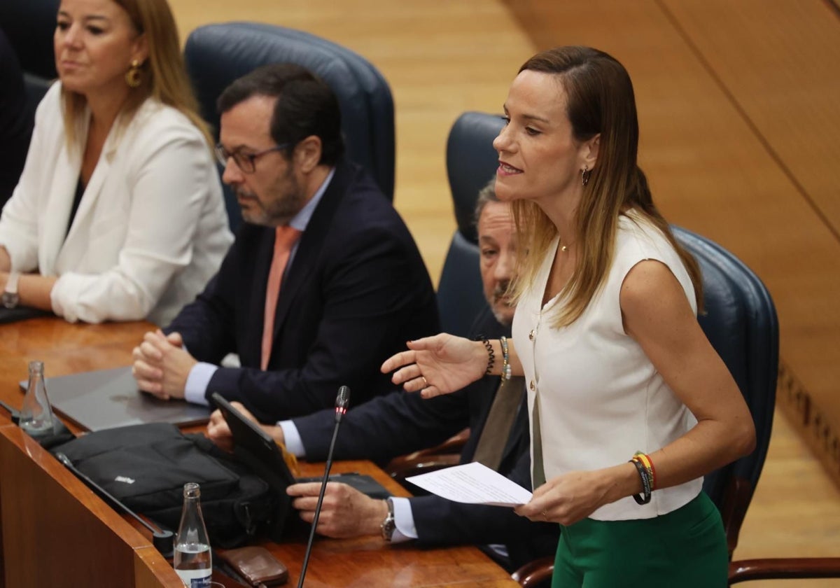 La portavoz de Vox en la Asamblea, Isabel Pérez Moñino, junto a diputados de su grupo