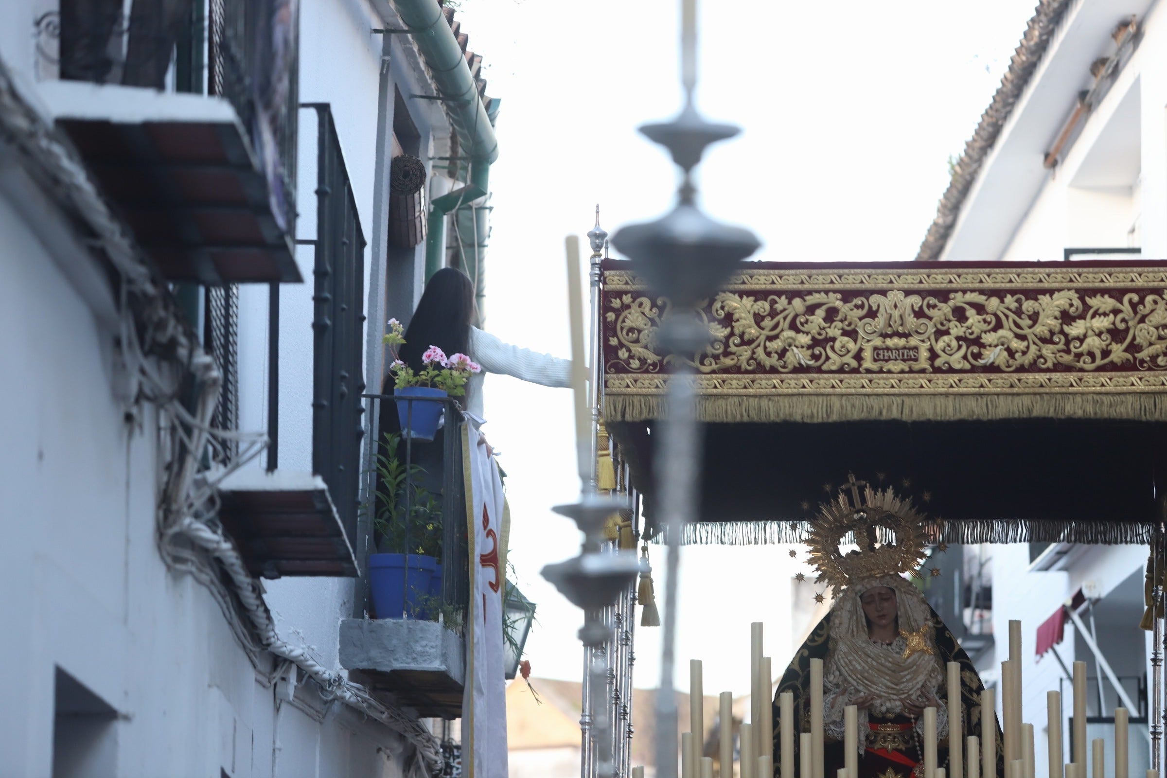 Las imágenes de la hermandad del Buen Suceso de Córdoba el Martes Santo