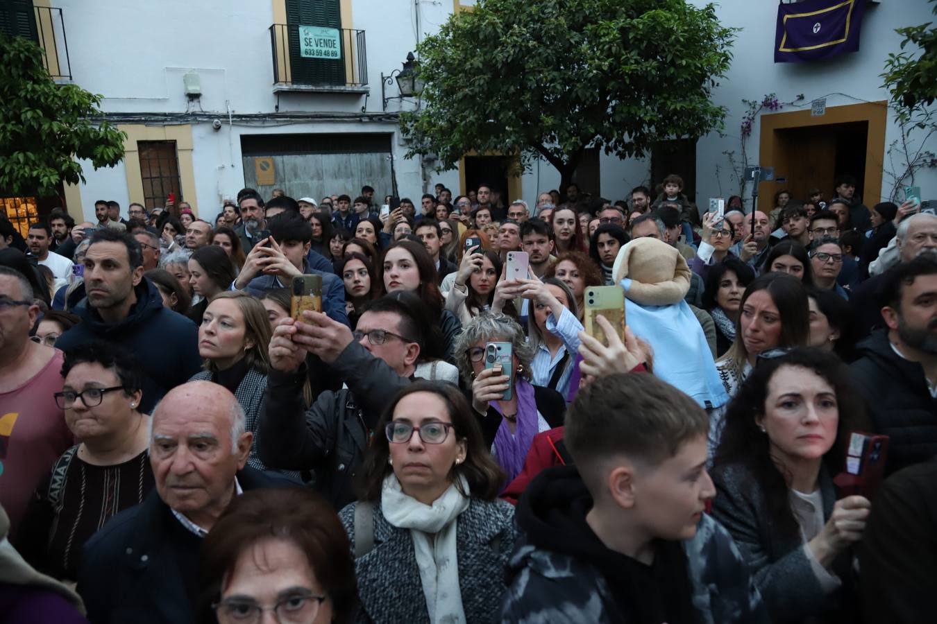 Las imágenes de la hermandad de Pasión en el Miércoles Santo de Córdoba