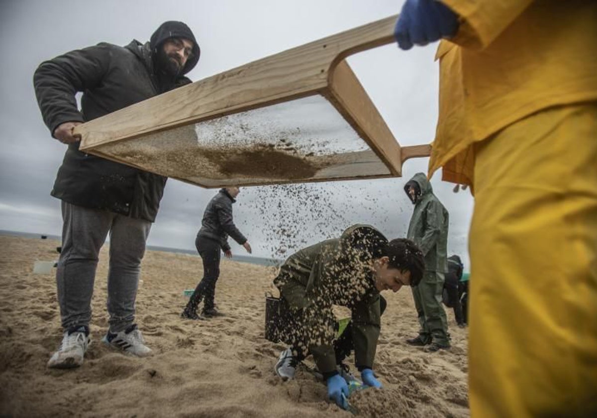 Recogida de pélets en una playa de Corrubedo (Ribeira), en enero de 2024