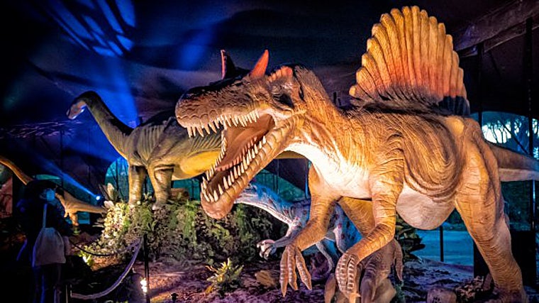 Algunas de las réplicas expuestas en la exposición