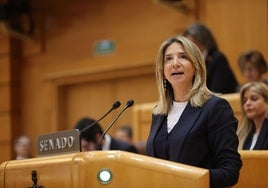 El PP instará desde el Senado al Gobierno a presentar los Presupuestos «como dicta la Constitución»