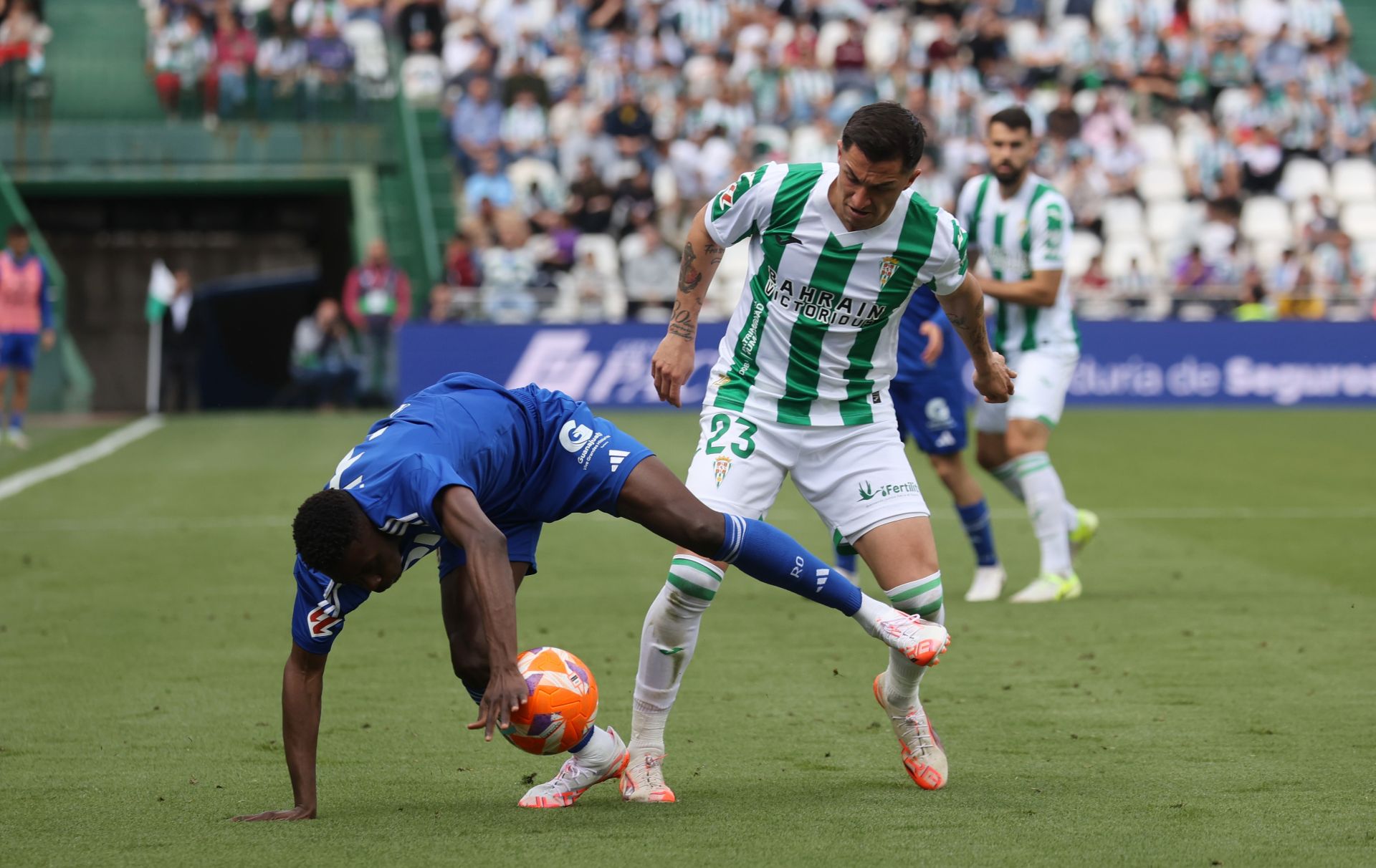 El emocionante empate del Córdoba con el Oviedo, en imágenes