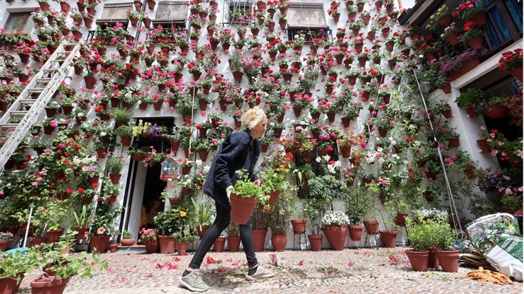 Festival de los Patios de Córdoba 2025: fechas, horarios y barrios