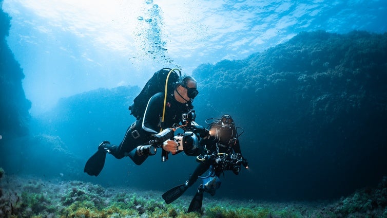 Investigadores de la Fundación Oceanogràfic descubren una nueva especie de molusco en el Mediterráneo