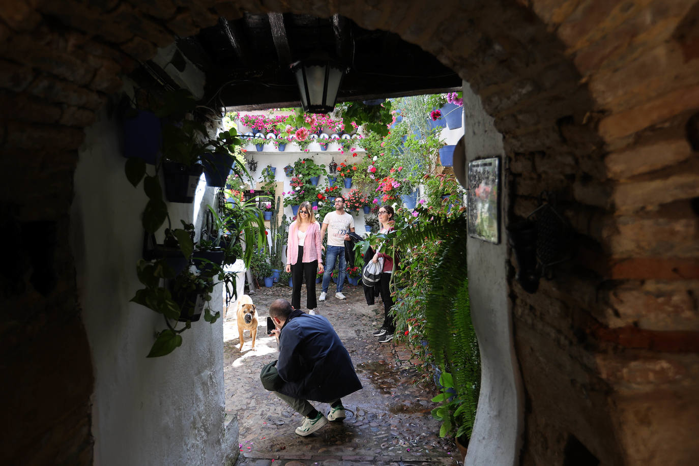 Los Patios de Córdoba a dos semanas de que empiece el certamen, en imágenes