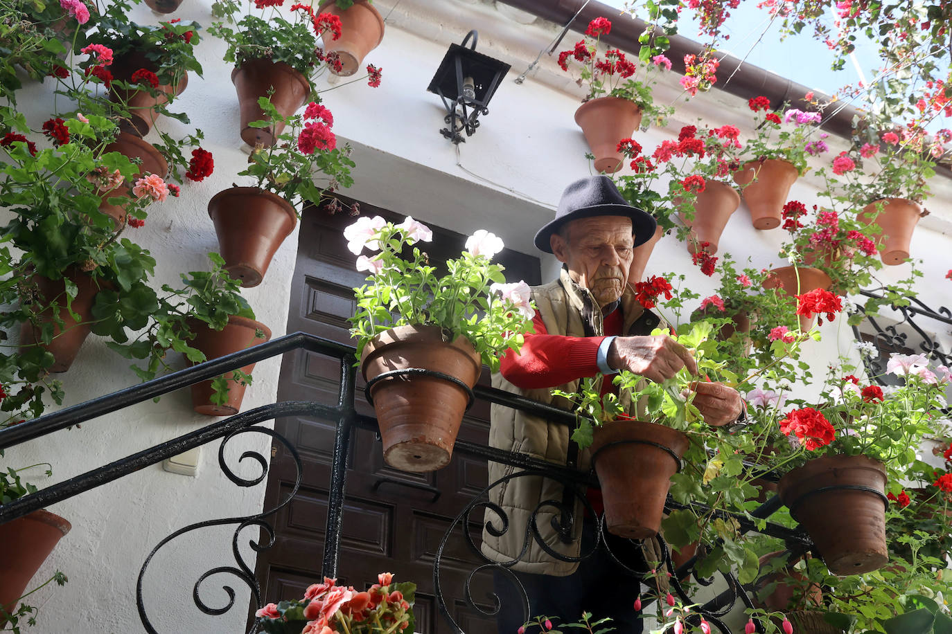 Los Patios de Córdoba a dos semanas de que empiece el certamen, en imágenes