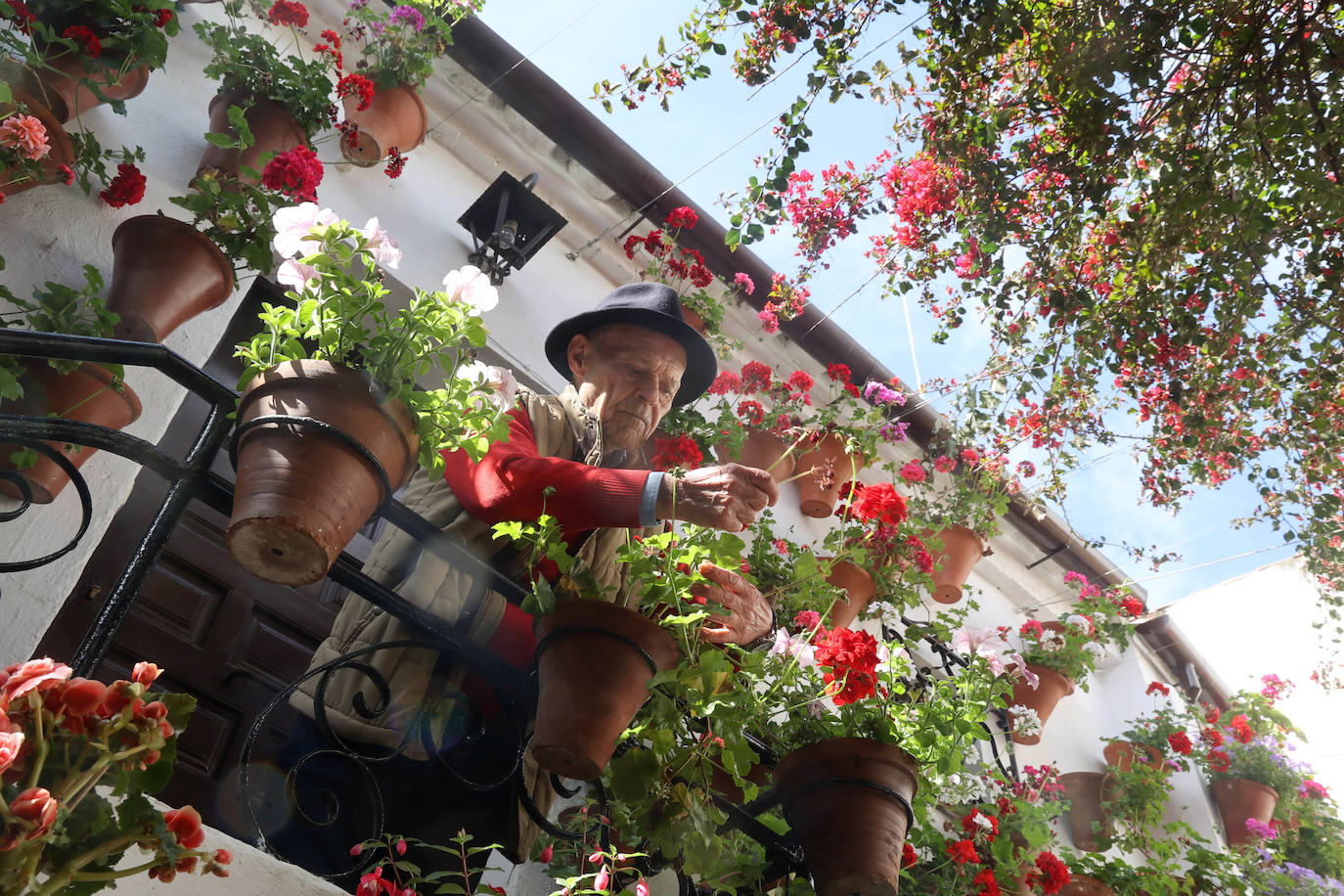 Los Patios de Córdoba a dos semanas de que empiece el certamen, en imágenes