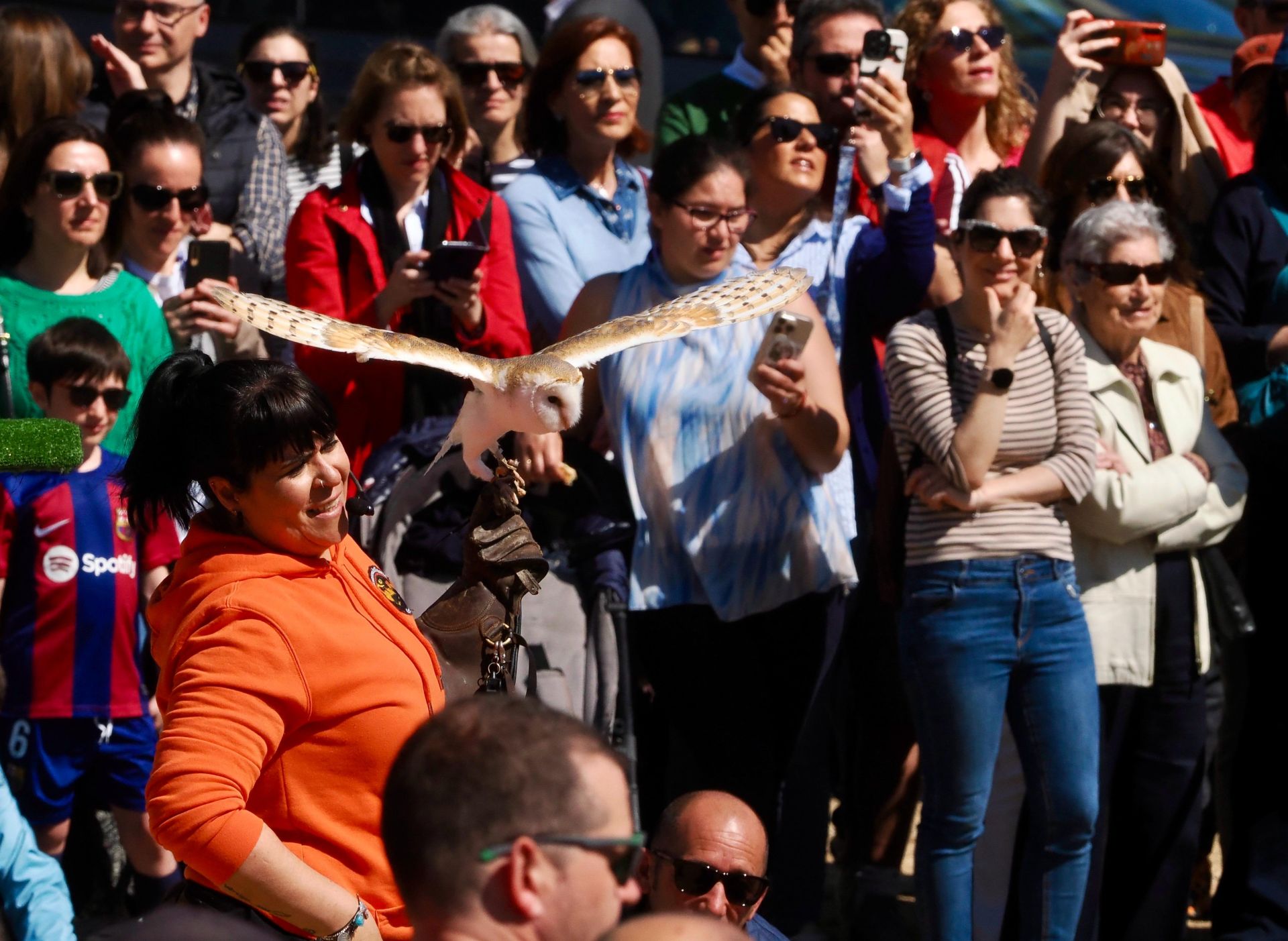 Exhibición de cetrería en la explanada de las Cortes de Castilla y León