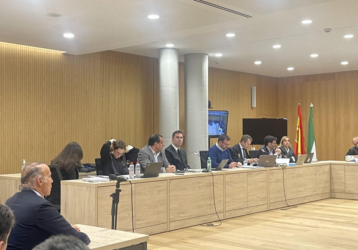 El ex director deportivo del Córdoba CF Luis Oliver durante su declaración como testigo en la Audiencia