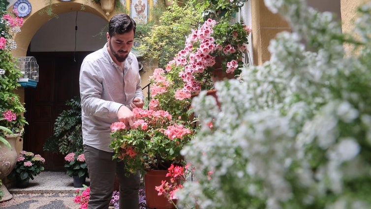 A los Patios de Córdoba les brota el optimismo a dos semanas de abrir: «Las flores han cogido este año acento gallego»