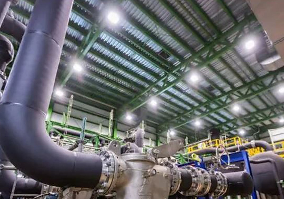 Steel Hydnum en Puertollano