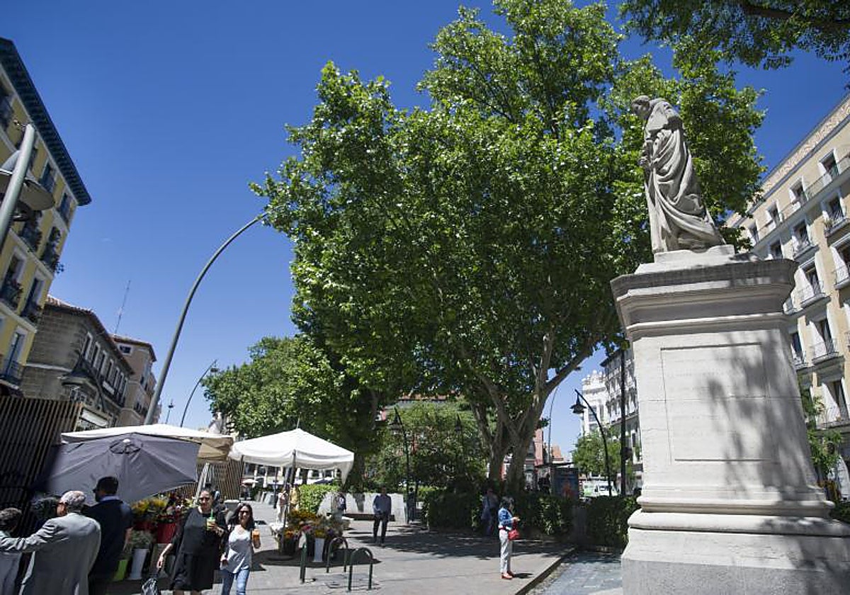 Plaza de Tirso de Molina, en pleno centro de Madrid