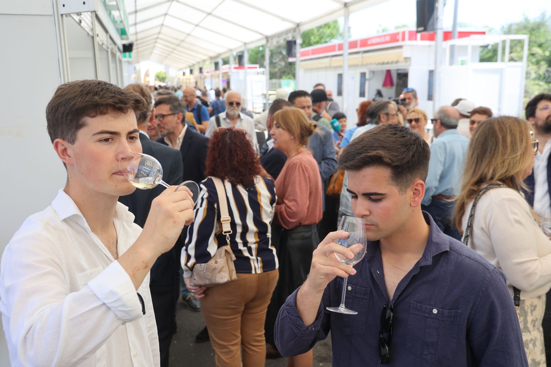 La inauguración de la Cata del Vino Montilla-Moriles de Córdoba, en imágenes