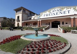 Freixenet despedirá al 24% de la plantilla por la caída de la producción por la sequía