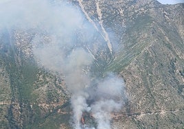Primer incendio forestal de la temporada en Málaga: las llamas afectan al paraje Valtocado de Mijas