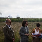 El Gobierno cederá sus terrenos de la ZAL del Puerto de Valencia a empresas innovadoras en vivienda